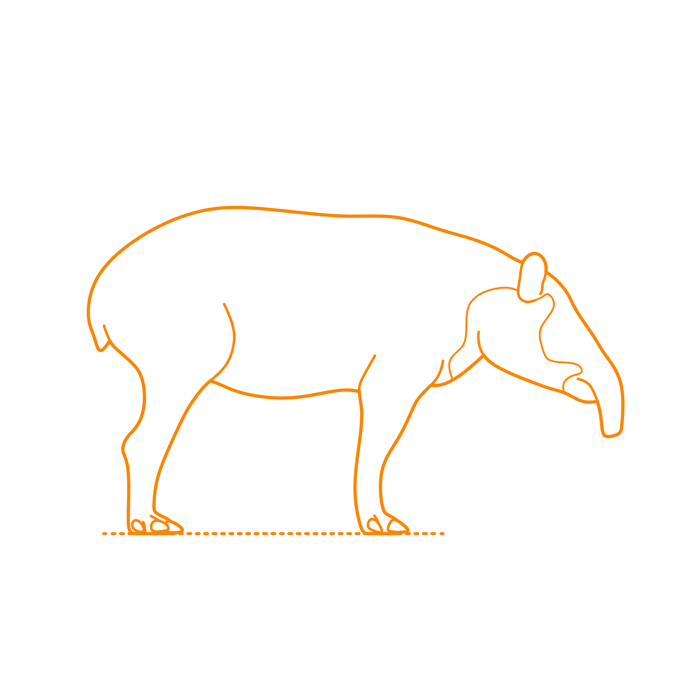 Animals Tapirs Bairds Tapir Tracing Svg Vector Free Vectors